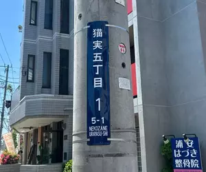 貓奴們想要住在《名字有貓字的地區》日本各地其實存在這麼多