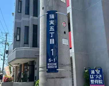 貓奴們想要住在《名字有貓字的地區》日本各地其實存在這麼多