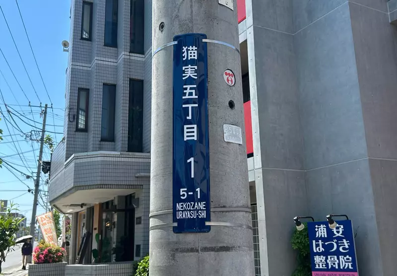 貓奴們想要住在《名字有貓字的地區》日本各地其實存在這麼多