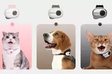 能夠與寵物溝通的翻譯機《PettiChat》問世，據說能精準翻譯毛孩跟飼主講的話！？