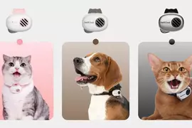 能夠與寵物溝通的翻譯機《PettiChat》問世，據說能精準翻譯毛孩跟飼主講的話！？