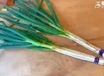 網友分享新穎的家庭菜園種植法 直接在水泥磚的洞裡種蔥會怎樣？