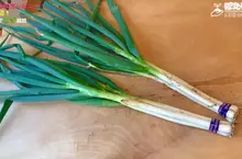 網友分享新穎的家庭菜園種植法 直接在水泥磚的洞裡種蔥會怎樣？