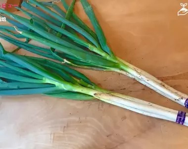 網友分享新穎的家庭菜園種植法 直接在水泥磚的洞裡種蔥會怎樣？