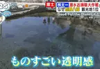 日本人氣觀光地《忍野八海》跟拍潛水員回收觀光客亂丟的硬幣