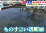 日本人氣觀光地《忍野八海》跟拍潛水員回收觀光客亂丟的硬幣