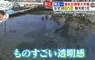日本人氣觀光地《忍野八海》跟拍潛水員回收觀光客亂丟的硬幣