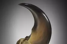網友分享《用電動美甲機打磨拋光的黑熊爪》越覺得它漂亮就越感受到當中的恐怖(怕)