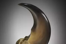 網友分享《用電動美甲機打磨拋光的黑熊爪》越覺得它漂亮就越感受到當中的恐怖(怕)