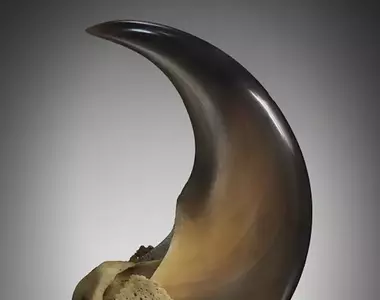 網友分享《用電動美甲機打磨拋光的黑熊爪》越覺得它漂亮就越感受到當中的恐怖(怕)