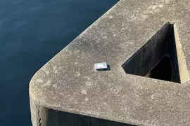 《東京運河寶藏》河上出現一個神祕的硬碟 裡面會不會藏有千萬比特幣？