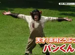 曾經在《志村動物園》爆紅的黑猩猩小龐 時隔６年與劇組重逢不忘尋找志村健身影……