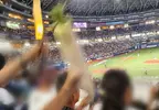 日本棒球場驚見《拿著蘿蔔加油的球迷》一看就知道是哪間學校的校友了？