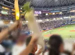日本棒球場驚見《拿著蘿蔔加油的球迷》一看就知道是哪間學校的校友了？
