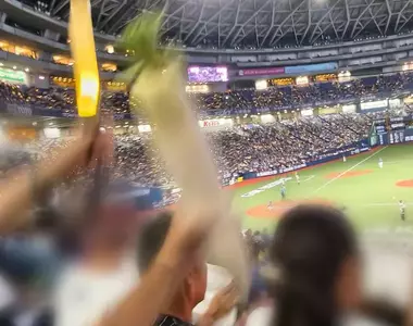 日本棒球場驚見《拿著蘿蔔加油的球迷》一看就知道是哪間學校的校友了？