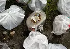 《日本UberEats怪現象》有人訂了一堆食物卻不吃？外送員們好奇他的目的是什麼……
