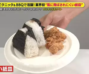《日本進化型紙盤子》不怕風吹而且超堅固 今年中秋烤肉就用這個了
