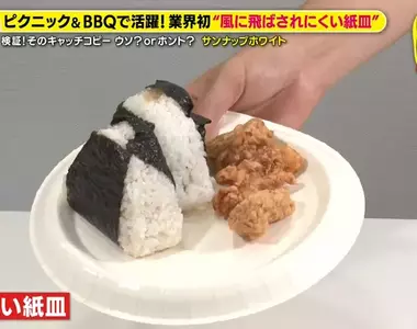 《日本進化型紙盤子》不怕風吹而且超堅固 今年中秋烤肉就用這個了