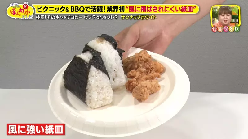 《日本進化型紙盤子》不怕風吹而且超堅固 今年中秋烤肉就用這個了
