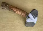 小2男生用路邊撿的木棍與石頭做成了《石斧》馬麻打開書包嚇一跳怎麼會有這種東西！？