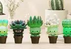 扭蛋商品《多肉植物小妖精》第二彈預計10月中旬推出 特別喜愛小東西療癒自己的朋友，這一檔也不要錯過唷
