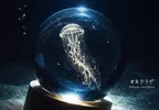 扭蛋商品《發光水母 crystal ball》宣布將會在今年10月份推出