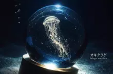 扭蛋商品《發光水母 crystal ball》宣布將會在今年10月份推出