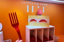 日本話題展覽《問號展》邊看展邊針對各種有趣問題投下神聖的一票