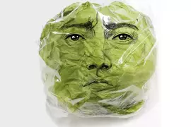 《藤原龍也萵苣包裝》為了促進蔬菜的消費找來大明星借臉，結果廠商還真的只有借臉而已啊(汗)