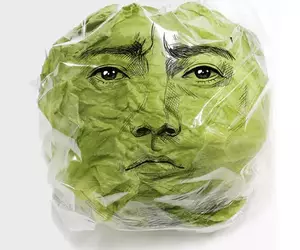 《藤原龍也萵苣包裝》為了促進蔬菜的消費找來大明星借臉，結果廠商還真的只有借臉而已啊(汗)