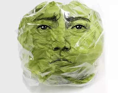 《藤原龍也萵苣包裝》為了促進蔬菜的消費找來大明星借臉，結果廠商還真的只有借臉而已啊(汗)
