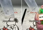 只針對《蚊子的連環殺手》抓來並進行各種實驗而聞名的內容創作者「Fatsocat」