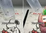只針對《蚊子的連環殺手》抓來並進行各種實驗而聞名的內容創作者「Fatsocat」 只針對《蚊子的連環殺手》抓來並進行各種實驗而聞名的內容創作者「Fatsocat」
