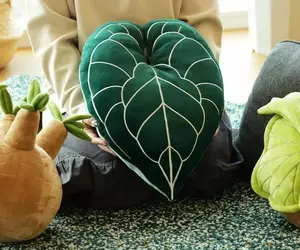《植物絨毛抱枕》推出 無需澆水也不用擔心枯萎植物系宅小物
