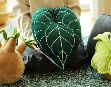 《植物絨毛抱枕》推出 無需澆水也不用擔心枯萎植物系宅小物