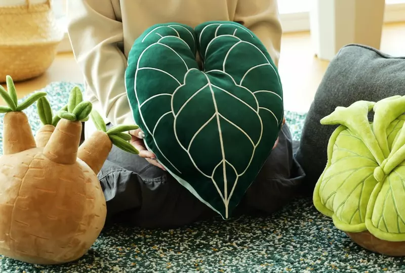 《植物絨毛抱枕》推出 無需澆水也不用擔心枯萎植物系宅小物