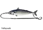 海洋系潮流小物《鯖魚肩背包》宛如剛釣魚回來整條街就屬你最趴