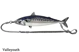 海洋系潮流小物《鯖魚肩背包》宛如剛釣魚回來整條街就屬你最趴