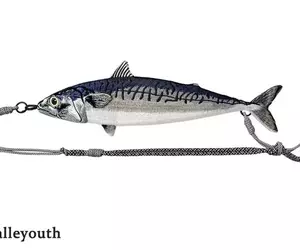 海洋系潮流小物《鯖魚肩背包》宛如剛釣魚回來整條街就屬你最趴