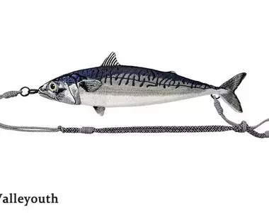 海洋系潮流小物《鯖魚肩背包》宛如剛釣魚回來整條街就屬你最趴