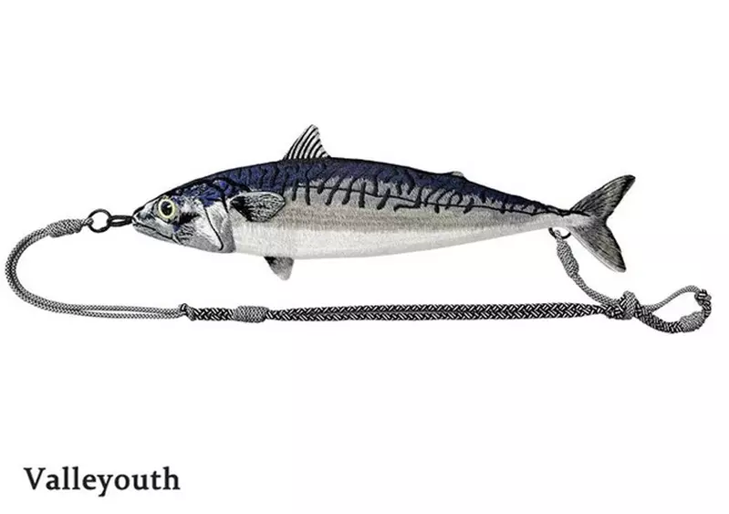 海洋系潮流小物《鯖魚肩背包》宛如剛釣魚回來整條街就屬你最趴