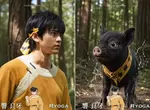 網友AI創作《亂馬1/2》若是將動畫中的人物真人化大概就長這個樣子 網友AI創作《亂馬1/2》若是將動畫中的人物真人化大概就長這個樣子