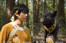 網友AI創作《亂馬1/2》若是將動畫中的人物真人化大概就長這個樣子