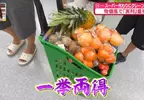 《日本家庭的連假娛樂》竟然是全家出動夾娃娃？讓小孩放電同時貼補家用一舉兩得