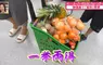 《日本家庭的連假娛樂》竟然是全家出動夾娃娃？讓小孩放電同時貼補家用一舉兩得