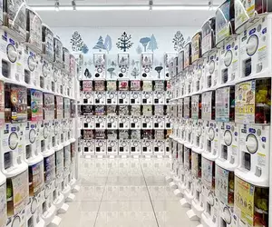 《厭惡轉蛋店的人》日本人瘋狂花500日圓購買小確幸 象徵著日本衰敗與反烏托邦？
