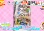 日本年輕人流行《轉蛋收集冊》你想不想學著這樣收藏轉蛋玩具呢？