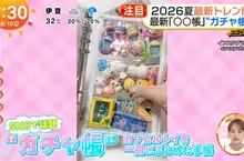 日本年輕人流行《轉蛋收集冊》你想不想學著這樣收藏轉蛋玩具呢？
