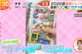 日本年輕人流行《轉蛋收集冊》你想不想學著這樣收藏轉蛋玩具呢？