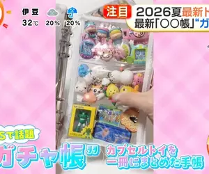 日本年輕人流行《轉蛋收集冊》你想不想學著這樣收藏轉蛋玩具呢？